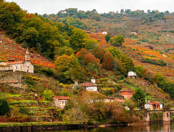 Viñedos de la Ribeira Sacra en Galicia en un día otoñal con el rio Miño