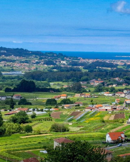 Vista panorámica de Meaño en las Rías Baixas, con viñedos, casas rurales y un cielo despejado.