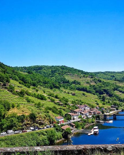 Vista panorámica de la Ribeira Sacra con montañas verdes, viñedos en terrazas y un río atravesado por puentes bajo un cielo azul despejado.