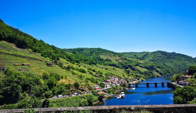 Vista panorámica de la Ribeira Sacra con montañas verdes, viñedos en terrazas y un río atravesado por puentes bajo un cielo azul despejado.