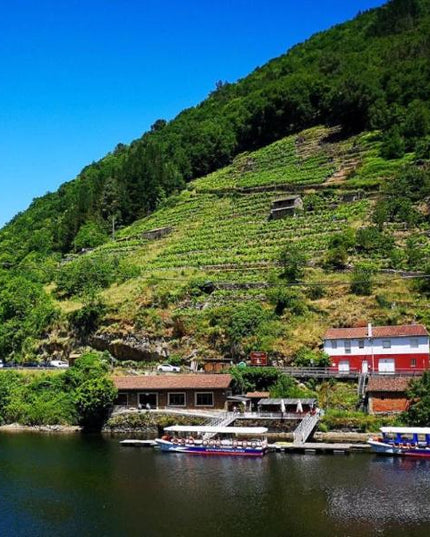 Vista panorámica de la Ribeira Sacra con montañas verdes, viñedos en terrazas, un embarcadero y casas rurales sobre el Rio Miño bajo un cielo azul despejado.