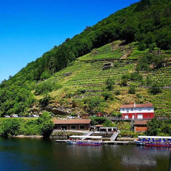 Vista panorámica de la Ribeira Sacra con montañas verdes, viñedos en terrazas, un embarcadero y casas rurales sobre el Rio Miño bajo un cielo azul despejado.