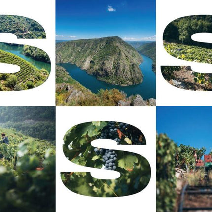 Poster de viñedos de Saíñas con imágenes de viñedos y paisajes dentro de las letras 'S', 'A', 'I', 'Ñ', 'A', 'S' formando la palabra 'Saiñas'.