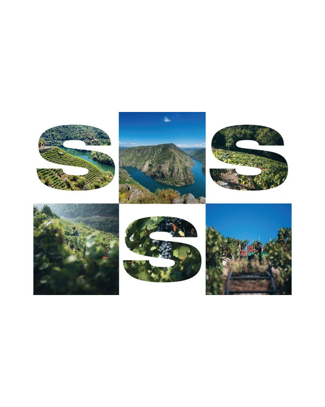 Poster de viñedos de Saíñas con imágenes de viñedos y paisajes dentro de las letras 'S', 'A', 'I', 'Ñ', 'A', 'S' formando la palabra 'Saiñas'.