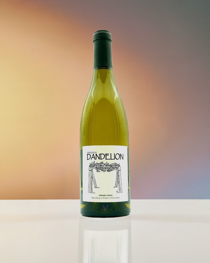 Albariño Dandelión 2023 sobre una mesa de mármol blanca y con en fondo degradado.