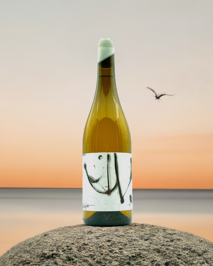 Vino raro blanco Murinus sobre una roca y el mar al fondo, con una puesta de sol y una gaviota volando, generada por Google Studio.